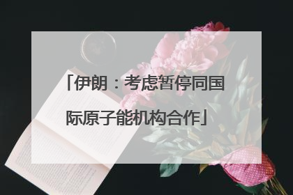 伊朗：考虑暂停同国际原子能机构合作