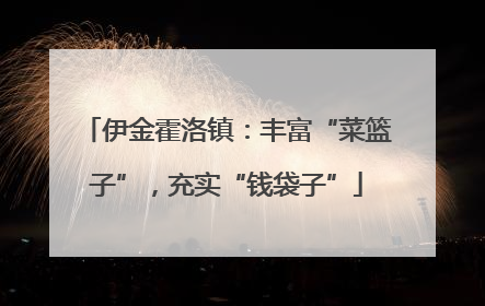 伊金霍洛镇：丰富“菜篮子”，充实“钱袋子”