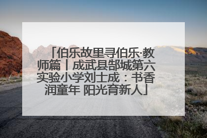 伯乐故里寻伯乐·教师篇丨成武县郜城第六实验小学刘士成：书香润童年 阳光育新人