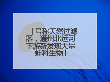 号称天然过滤器，通州北运河下游新发现大量蚌科生物