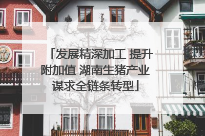 发展精深加工 提升附加值 湖南生猪产业谋求全链条转型