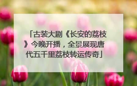 古装大剧《长安的荔枝》今晚开播，全景展现唐代五千里荔枝转运传奇