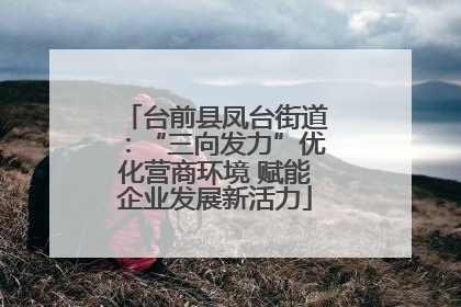 台前县凤台街道：“三向发力”优化营商环境 赋能企业发展新活力