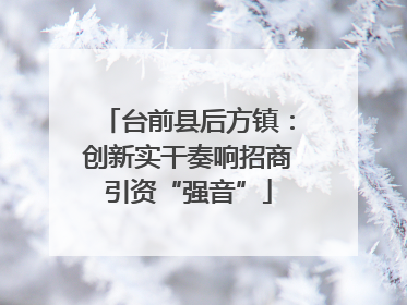 台前县后方镇：创新实干奏响招商引资“强音”