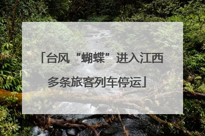 台风“蝴蝶”进入江西 多条旅客列车停运