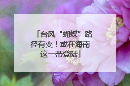 台风“蝴蝶”路径有变！或在海南这一带登陆