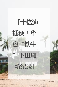 十倍速插秧！华容“铁牛”下田刷新纪录