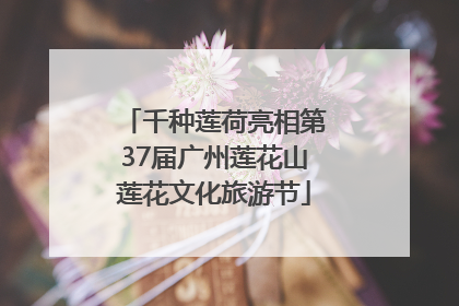 千种莲荷亮相第37届广州莲花山莲花文化旅游节