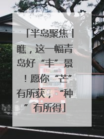 半岛聚焦丨瞧，这一幅青岛好“丰”景！愿你“芒”有所获，“种”有所得