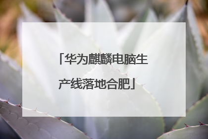 华为麒麟电脑生产线落地合肥