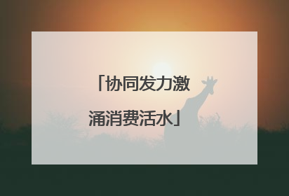 协同发力激涌消费活水