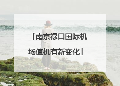 南京禄口国际机场值机有新变化