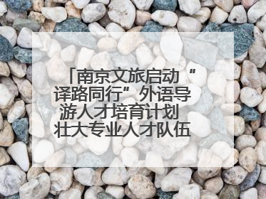 南京文旅启动“译路同行”外语导游人才培育计划 壮大专业人才队伍助力重要国际旅游目的地建设
