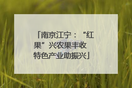 南京江宁：“红果”兴农果丰收 特色产业助振兴