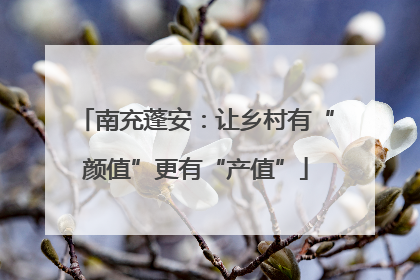 南充蓬安：让乡村有“颜值”更有“产值”