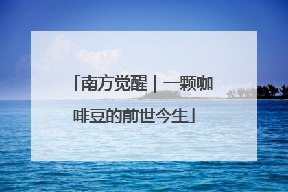 南方觉醒｜一颗咖啡豆的前世今生