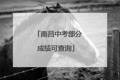 南昌中考部分成绩可查询