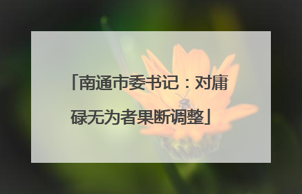 南通市委书记：对庸碌无为者果断调整