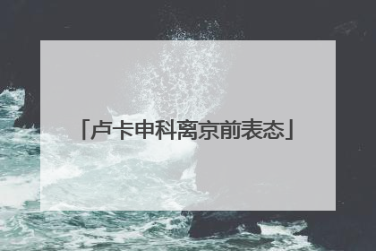 卢卡申科离京前表态