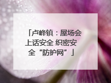 卢峰镇：屋场会上话安全 织密安全“防护网”