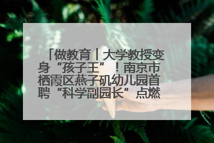 做教育︱大学教授变身“孩子王”！南京市栖霞区燕子矶幼儿园首聘“科学副园长”点燃萌娃科学梦
