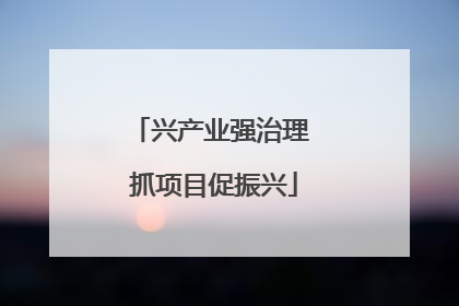 兴产业强治理 抓项目促振兴