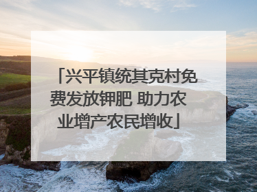 兴平镇统其克村免费发放钾肥 助力农业增产农民增收