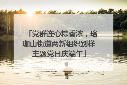 党群连心粽香浓，珞珈山街道两新组织别样主题党日庆端午