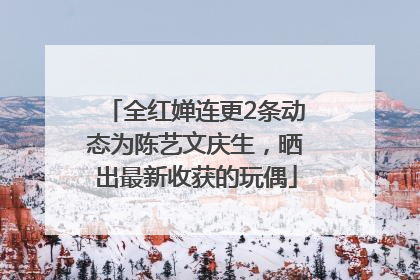 全红婵连更2条动态为陈艺文庆生，晒出最新收获的玩偶