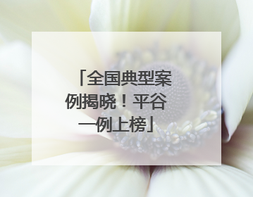 全国典型案例揭晓！平谷一例上榜