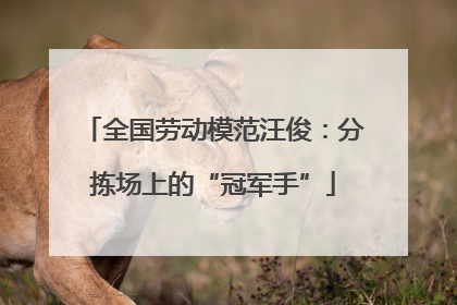 全国劳动模范汪俊：分拣场上的“冠军手”