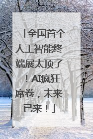 全国首个人工智能终端展太顶了！AI疯狂席卷，未来已来！