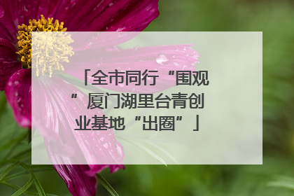 全市同行“围观”厦门湖里台青创业基地“出圈”