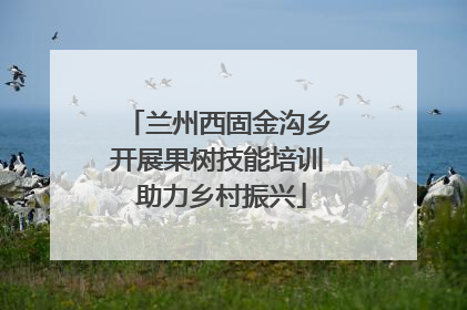 兰州西固金沟乡开展果树技能培训 助力乡村振兴