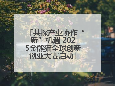 共探产业协作“新”机遇 2025金熊猫全球创新创业大赛启动