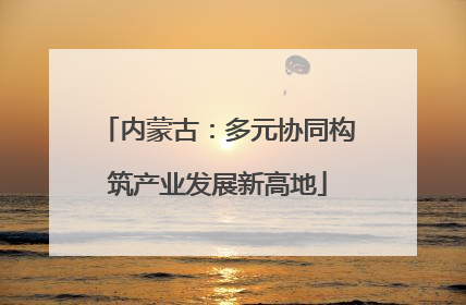 内蒙古：多元协同构筑产业发展新高地
