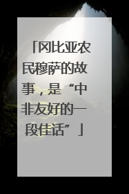 冈比亚农民穆萨的故事，是“中非友好的一段佳话”
