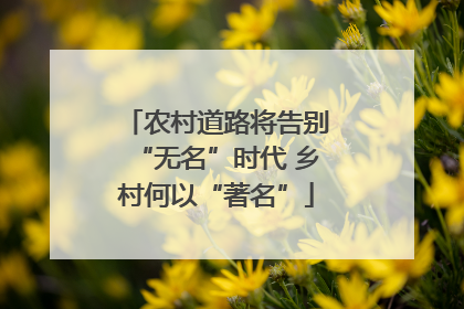 农村道路将告别“无名”时代 乡村何以“著名”