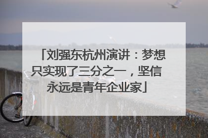 刘强东杭州演讲：梦想只实现了三分之一，坚信永远是青年企业家