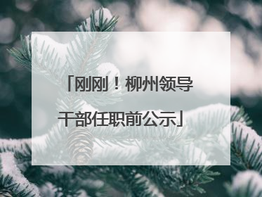 刚刚！柳州领导干部任职前公示