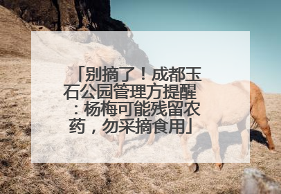 别摘了！成都玉石公园管理方提醒：杨梅可能残留农药，勿采摘食用