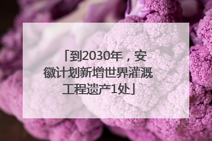到2030年，安徽计划新增世界灌溉工程遗产1处