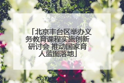 北京丰台区举办义务教育课程实施创新研讨会 推动国家育人蓝图落地