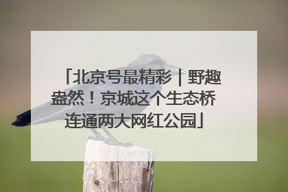 北京号最精彩｜野趣盎然！京城这个生态桥连通两大网红公园