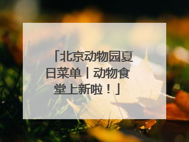 北京动物园夏日菜单丨动物食堂上新啦！