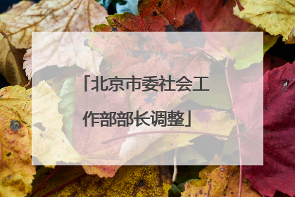 北京市委社会工作部部长调整