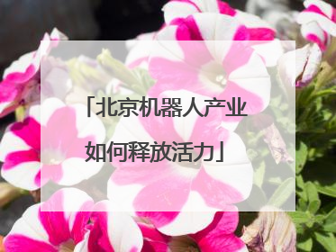 北京机器人产业如何释放活力