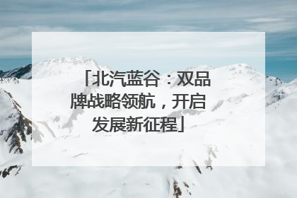 北汽蓝谷：双品牌战略领航，开启发展新征程