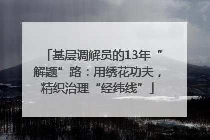基层调解员的13年“解题”路：用绣花功夫，精织治理“经纬线”