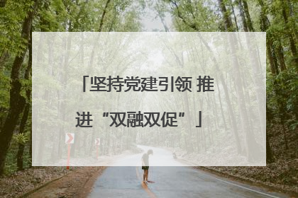 坚持党建引领 推进“双融双促”